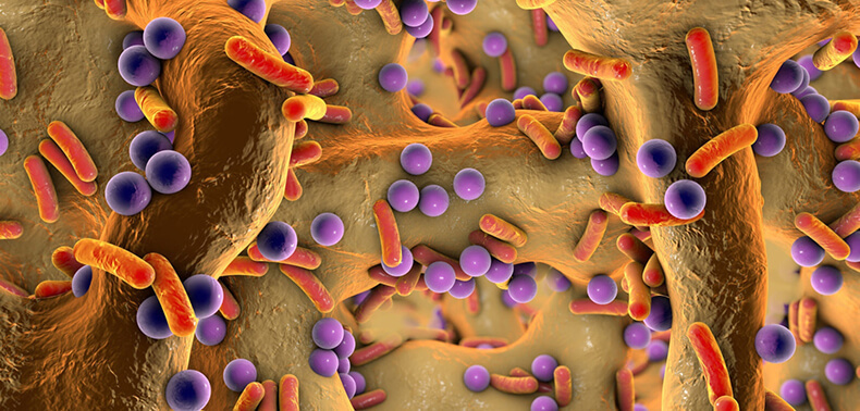 О микробиоме: Как микробы управляют здоровьем людей