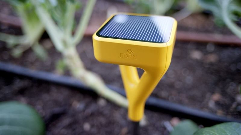 Технологии и садоводство: как ухаживать за своим дачным участком летом?