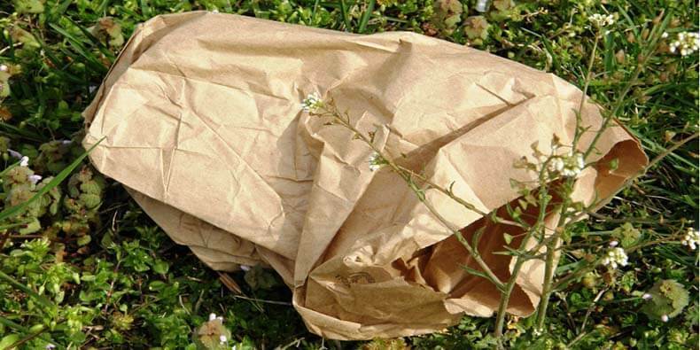 Бумажные, пластиковые и биоразлагаемые: какие пакеты самые опасные