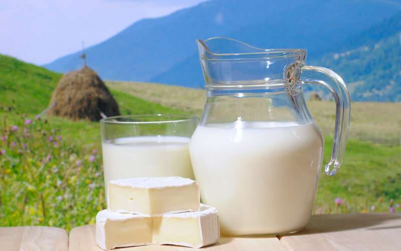 Гипс и мыло — это прошлый век: как фальсифицируют молоко в России