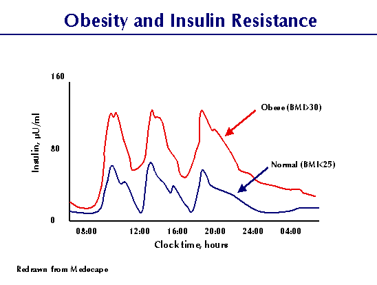 Инсулин: гормон здоровья и долголетия