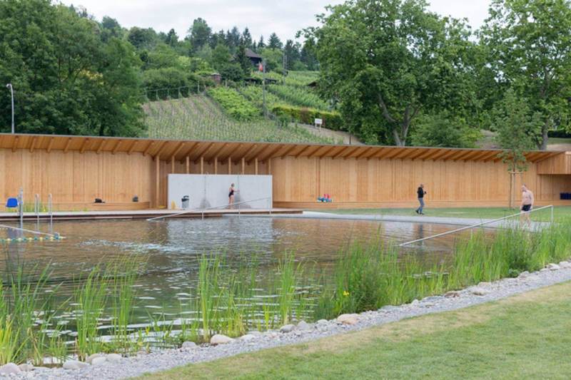 Naturbad Riehen: природный бассейн без хлора