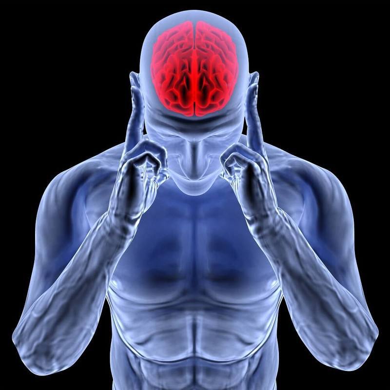 Нейробиолог Дик Свааб: На небесах я первым признаюсь, что в определении «сознания» ошибался…