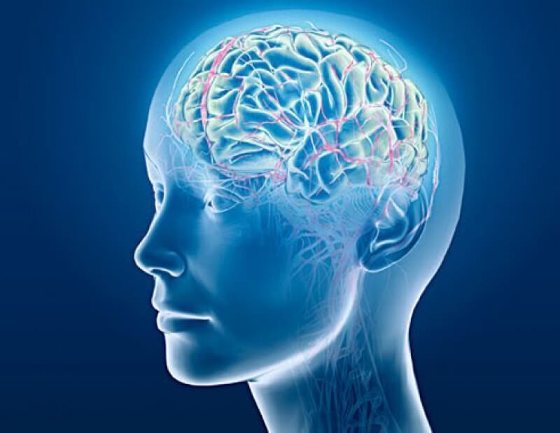 Нейробиолог Дик Свааб: На небесах я первым признаюсь, что в определении «сознания» ошибался…