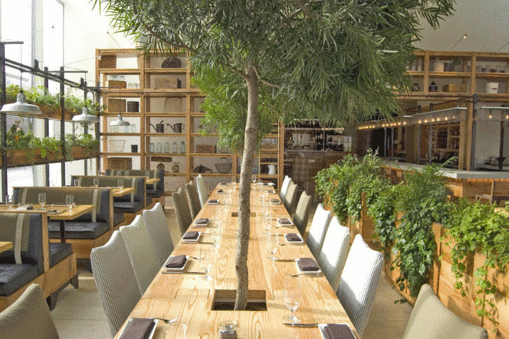 Лес и вертикальные сады в интерьере ресторана Хосе Гарсеса.
