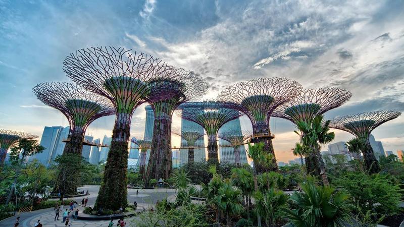 Сингапурский парк Gardens by the Bay украшают 18 «солнечных» деревьев-гигантов
