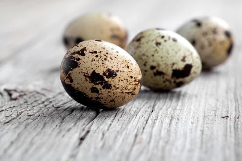 Действительно ли перепелиные яйца более полезны