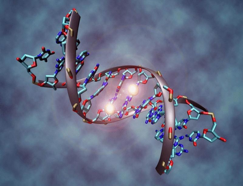 Ученые создали ДНК искусственной формы жизни