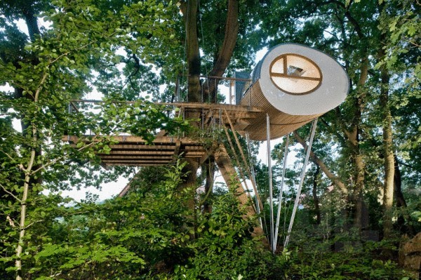 Эллипсовидный домик в лесу на шестиметровых опорах