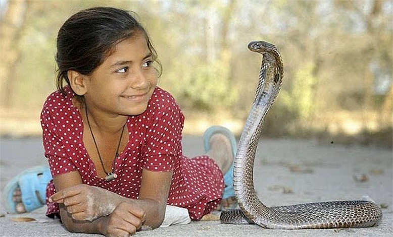 8-летняя девочка из Индии дружит с кобрами