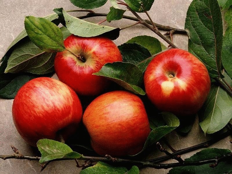 Глобальное потепление меняет вкус яблок