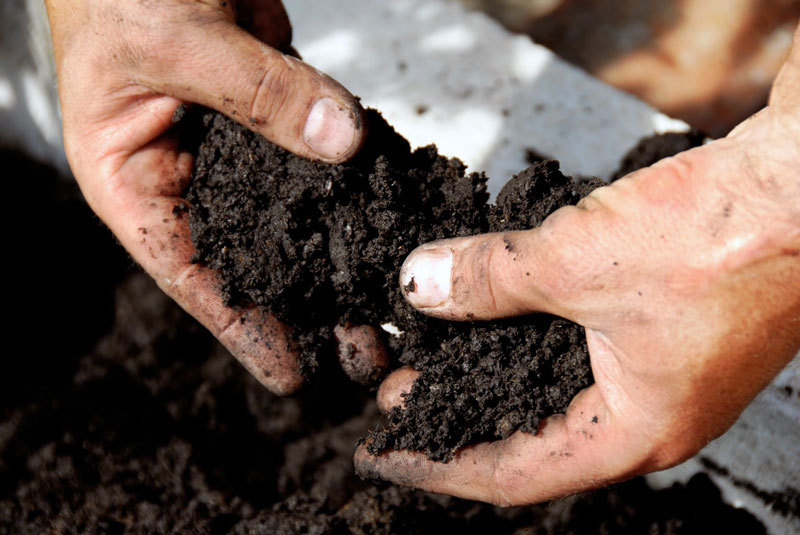 Как узнать тип почвы, и зачем это нужно