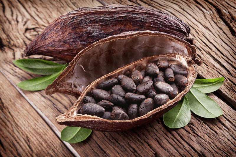 Производство какао на грани риска