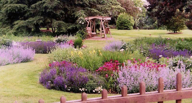 Вересковый сад — атмосфера древних мифов и сказаний на вашем участке