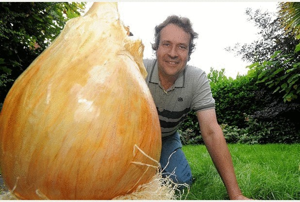 Вес самой тяжелой в мире луковицы составил 8,5 килограмма