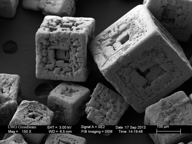 Как выглядят  обычные  предметы под микроскопом
