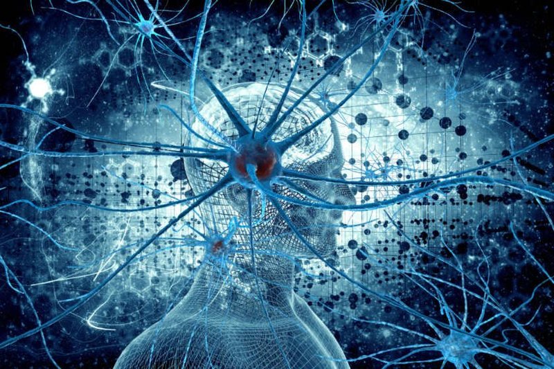 10 упражнений для мозга, которые стимулируют развитие новых нервных соединений 