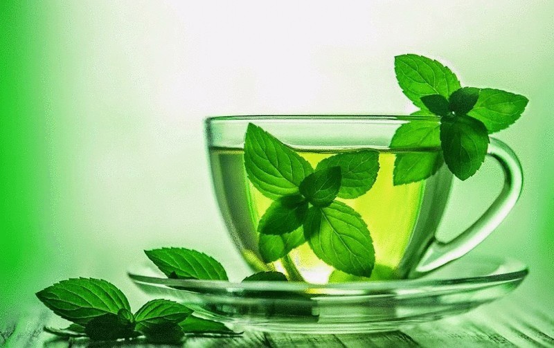 Чай с мятой: лечебные свойства