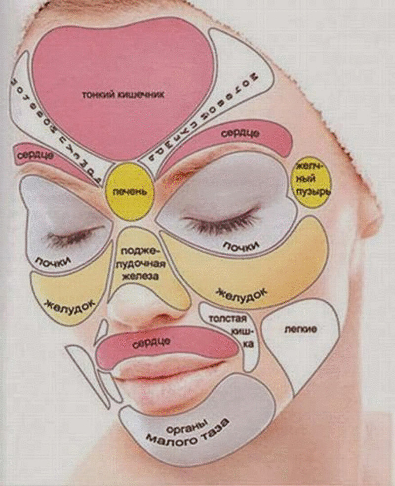 Зоны отражения внутренних органов на лице