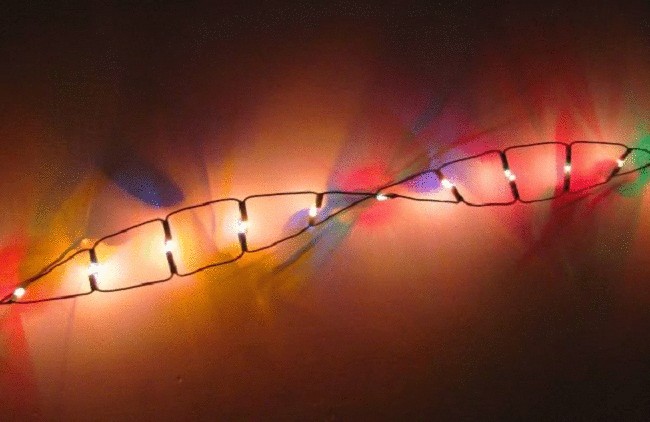 Насколько функциональна наша ДНК
