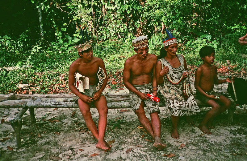 Интересные факты о тропических лесах Амазонки