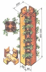 Эстетичный сад - вертикальная посадка клубники