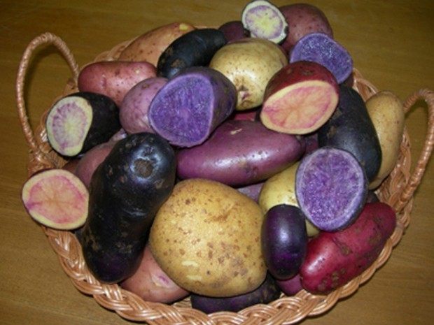 Цветной картофель