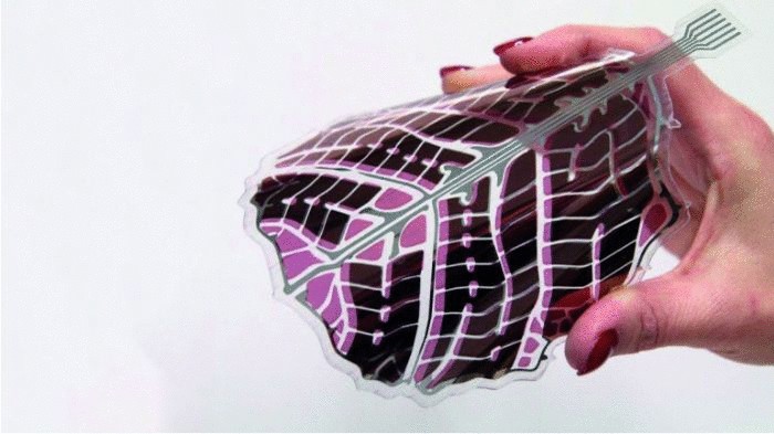 Декоративные органические панели превращают солнечные батареи в украшения для интерьера
