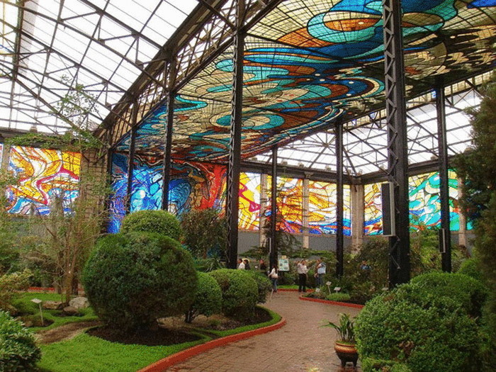 Ботанический сад с роскошными витражами в Мексике 