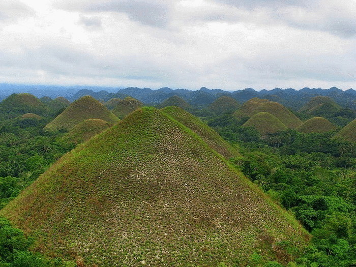 Шоколадные холмы на острове Бохоль (Филиппины) 