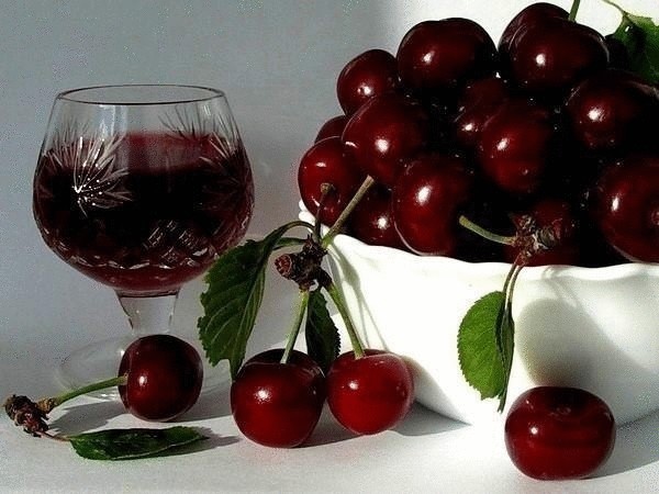 Домашнее вино из вишен