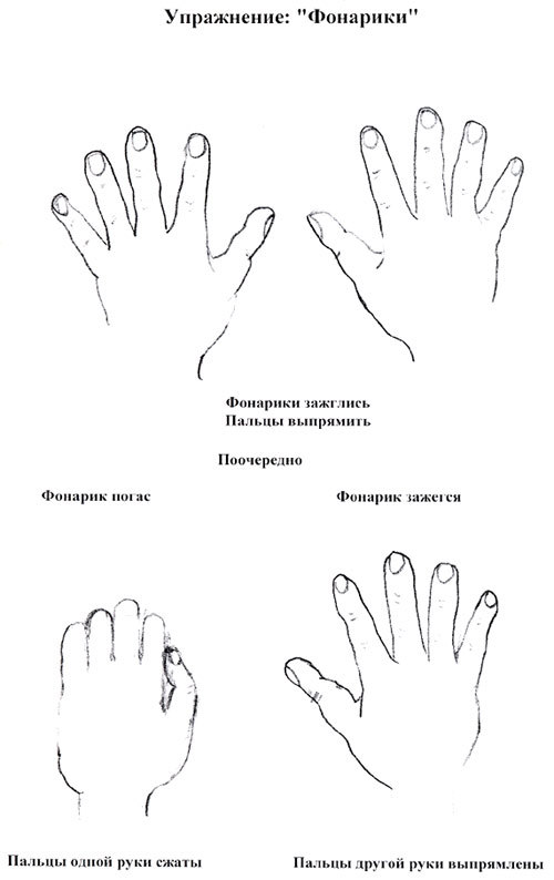 кинезиология кинезиология